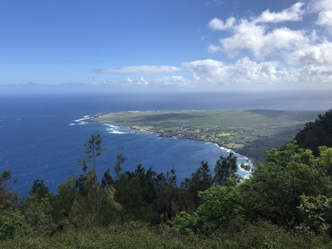 2020-02-22_05-01-46_516