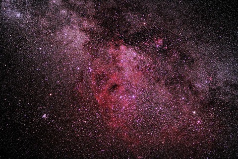 IMG_8727t (3)ガム (1280x853)