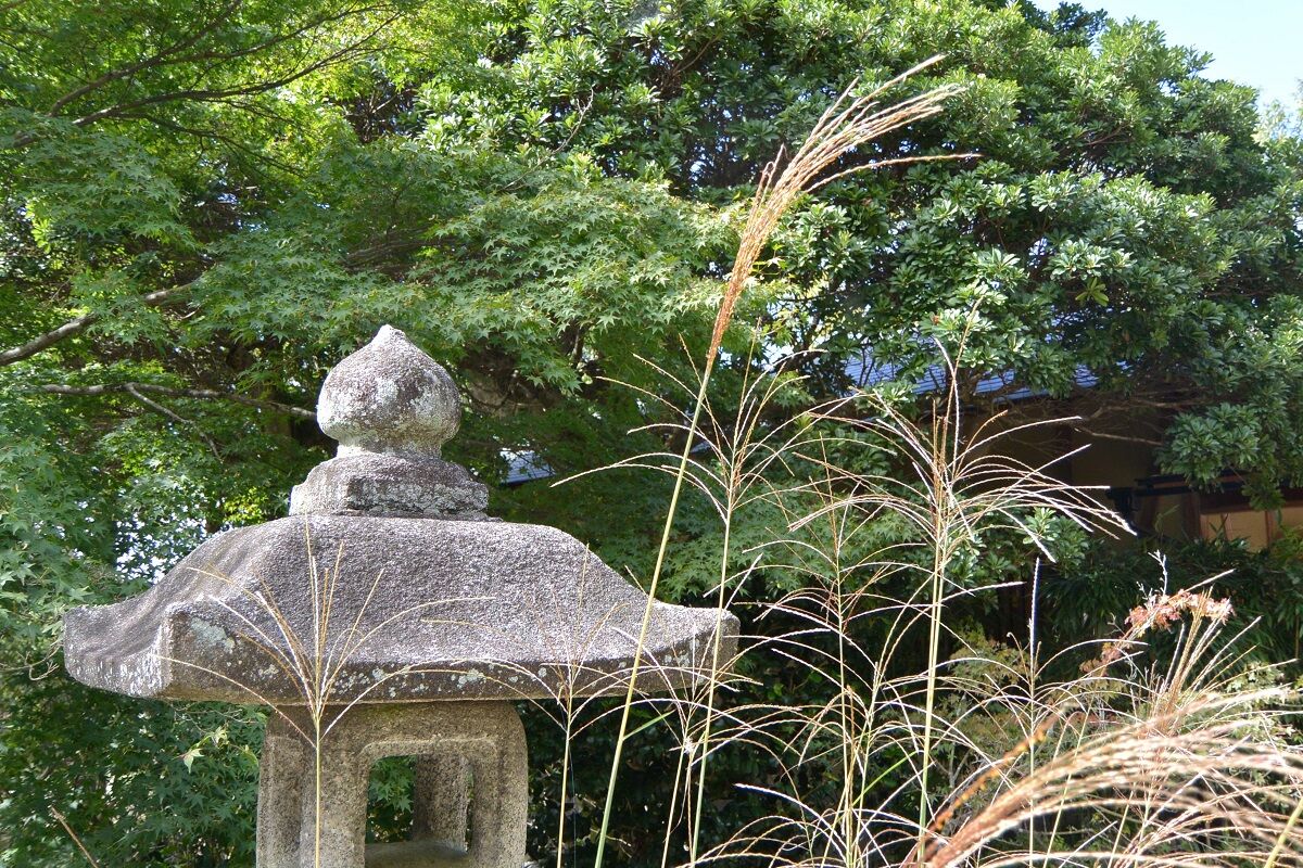 尾花が末の生ひ靡き さばかりのものやはある しない させない させられない