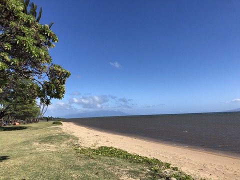 2020-02-22_10-03-03_081 - コピー