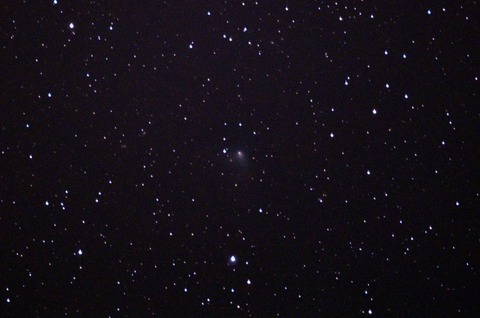 パンスターズDSC_0096sx