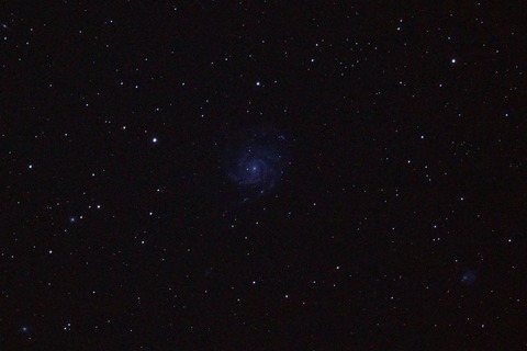 M101