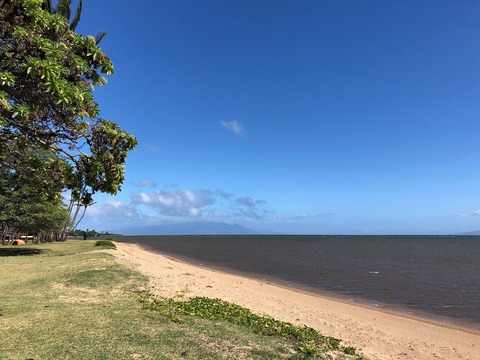 2020-02-22_10-03-03_081