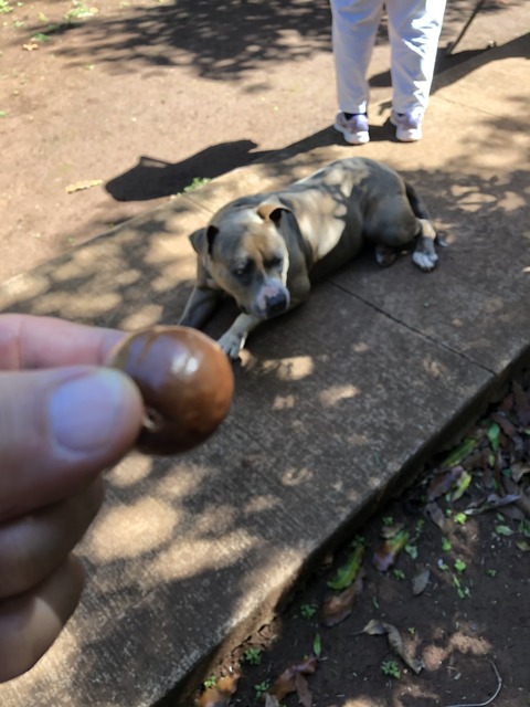 2020-02-22_07-06-32_581