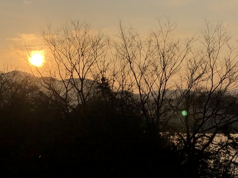 2020-02-05_07-29-46_021