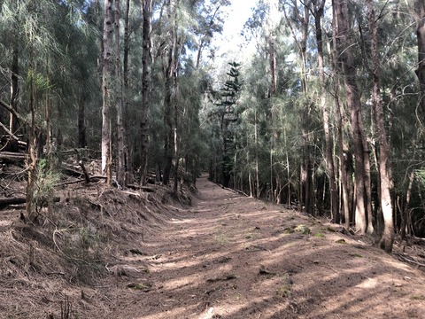 2020-02-22_05-12-32_928