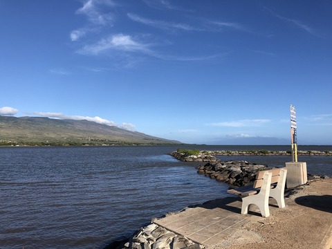 2020-02-21_11-40-43_013