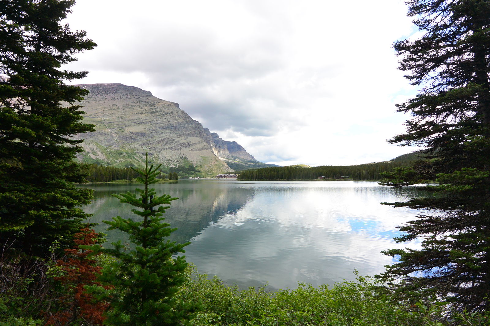 すばらしきグレイシャー アメリカ旅行記 16夏 しない させない させられない