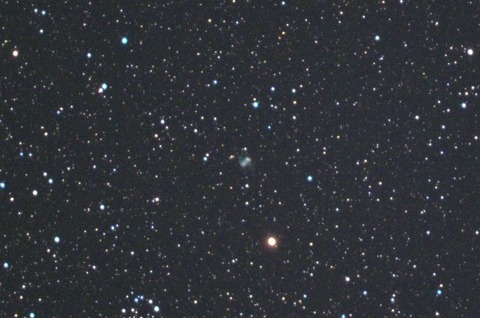 小あれいDSC_2161tx