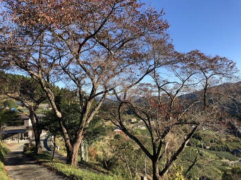 2019-11-16_08-16-13_607