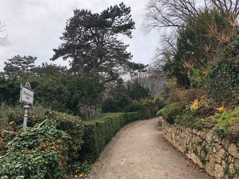 2019-11-28_17-28-52_516