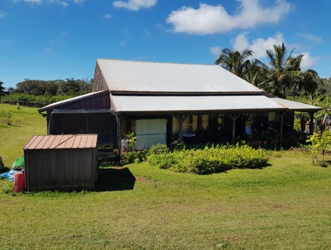 モロカイミュージアム4