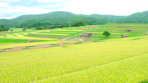 スクリーンショット 2025-11-08 185707