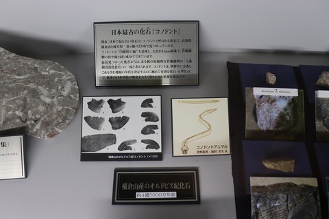 yokokurayama-museum-13