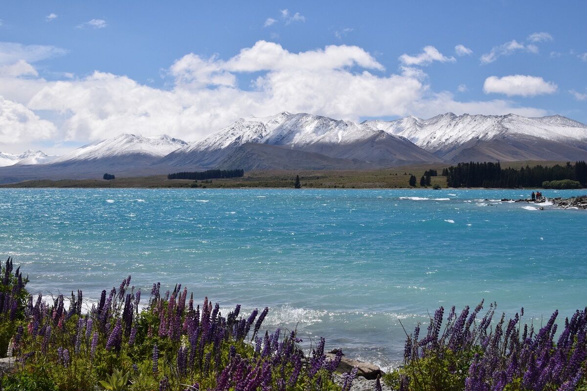 行っておいてよかった テカポ湖と満天の星空 しない させない させられない