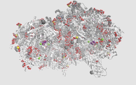 マンガンカルシウムクラスター