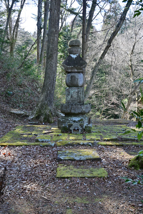 DSC_2524