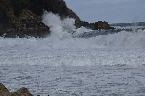 2020-03-06_09-04-40_300