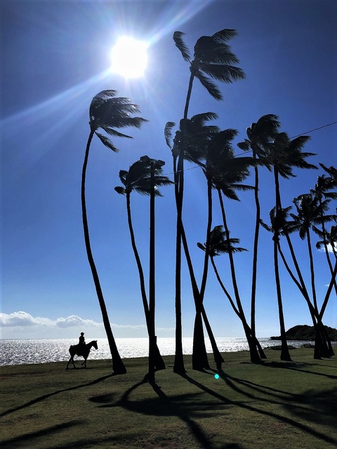 2020-02-22_10-13-07_626