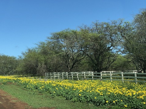 2020-02-22_08-40-04_420