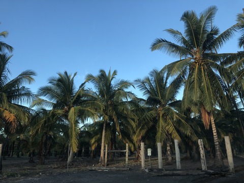 2020-02-21_13-05-45_289