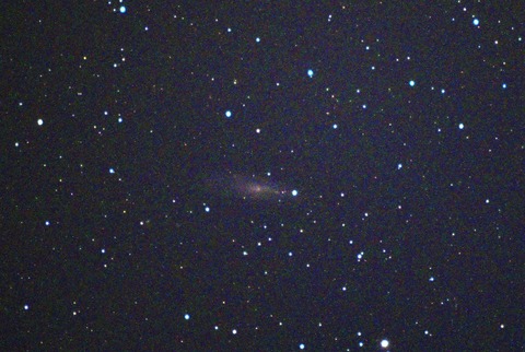 NGC247