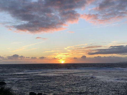 2020-02-22_01-55-09_509