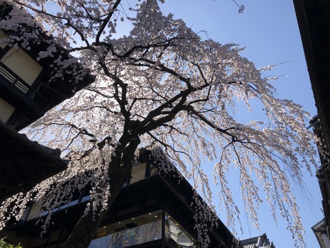 2020-03-25_10-56-20_895