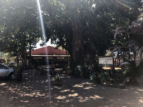 2020-02-22_07-28-58_882