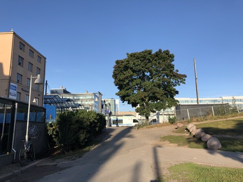 2019-08-25_07-55-44_798