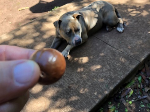 2020-02-22_07-06-32_581