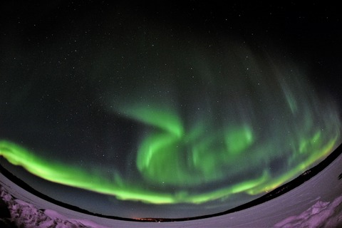 DSC_9726 (2)s (800x533)