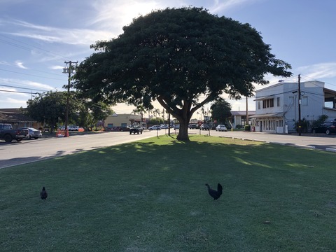 2020-02-21_11-53-47_659