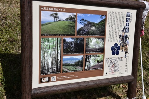 2020-03-06_14-07-00_300