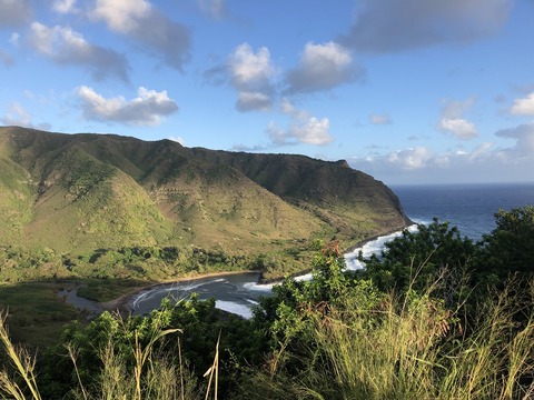 2020-02-22_02-35-15_488