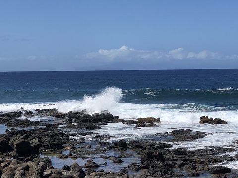 2020-02-22_08-31-46_704