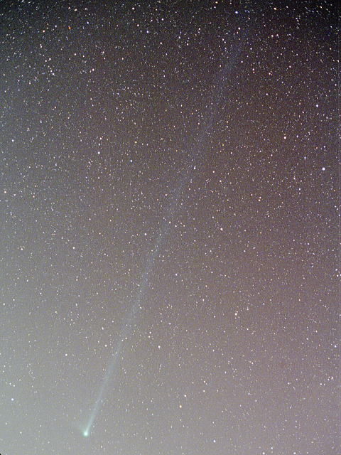 ブラッドフィールド２