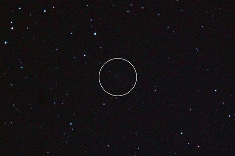 DSC_0495a4_ラブジョイ