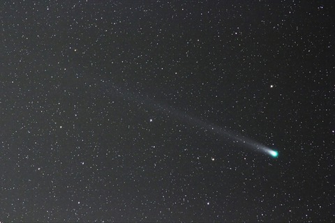 ラブジョイ20131208b