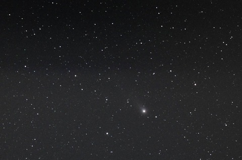 ラブジョイ20140201