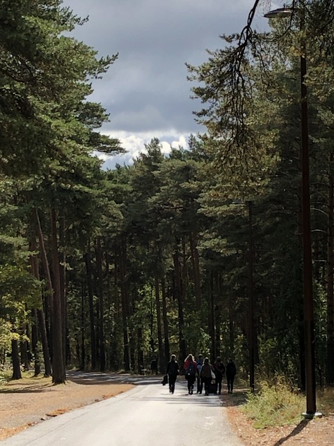 2019-08-24_11-11-27_327