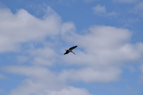 2020-03-06_10-45-26_400