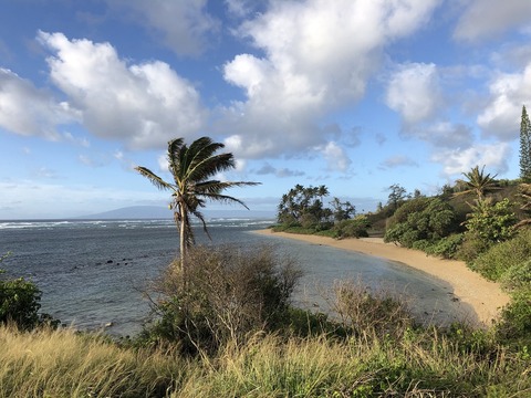 2020-02-22_02-58-12_367