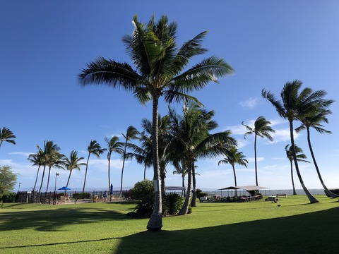 2020-02-21_11-25-35_340