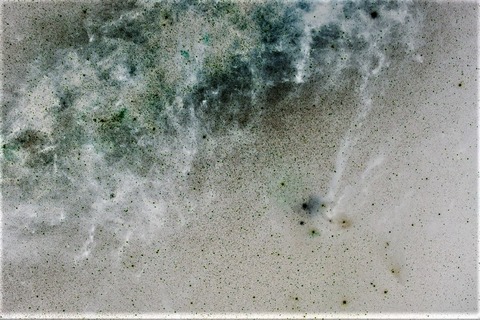 IMG_8273s (3) (1024x683)o