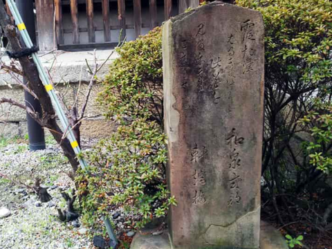 スクリーンショット 2025-05-23 135354