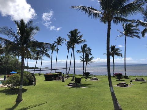 2020-02-23_06-55-43_698