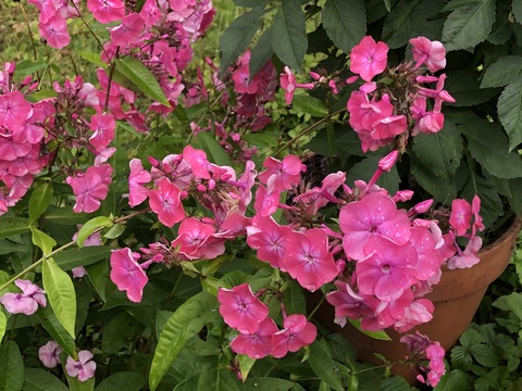 2019-08-23_12-33-48_678