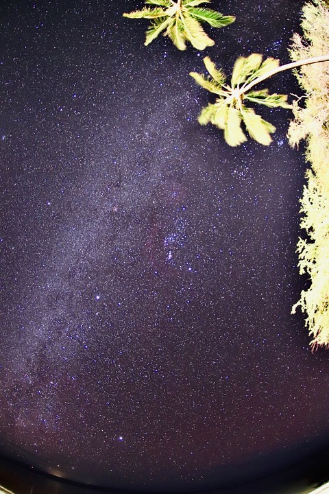 2020-02-22_10-26-34_160 (2020-02-25T01_05_31.177)