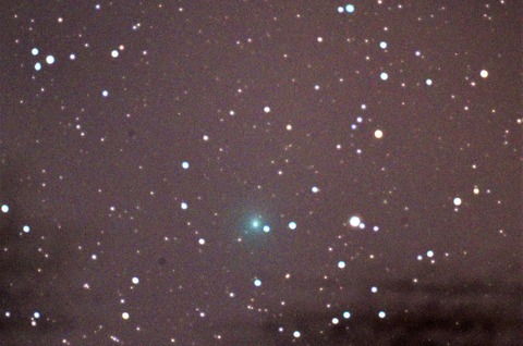 DSC_1333s (3)_ウィルタネン彗星